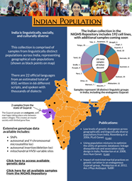 Indian Population